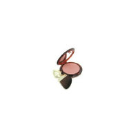 Guerlain Terracotta Blush & Sun Sheer Bronzing Blush