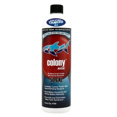Acrylic Tank Manufacturing ATM Colony for Saltwater
