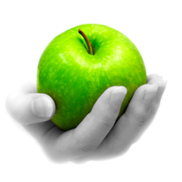 Pocket Pixels Inc. Color Splash