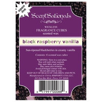 ScentSationals Wickless Fragance Cubes - Black Raspberry Vanilla (6 Cubes)