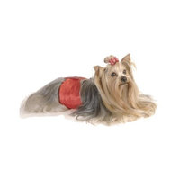 Max's Closet Red Belly Bands, Large