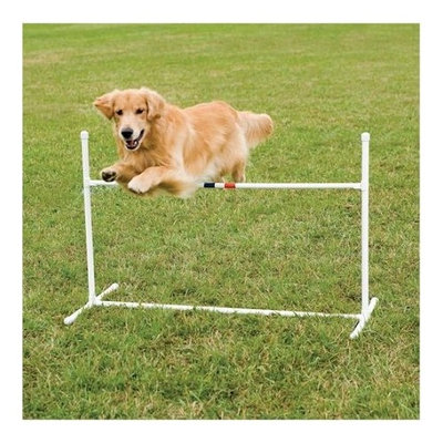 PetSafe Agility Bar Jump