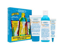 Kiehl's Blue Herbal Acne Elimination System