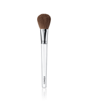 Clinique Blush Brush