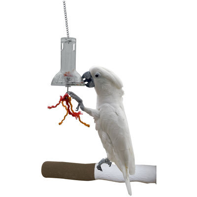 Caitec Corporation Caitec Foraging System Foraging Capsule