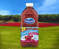 Ocean Spray Low Calorie Cran•Raspberry® Cocktail