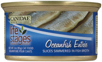 Canidae Life Stages Oceanfish Slices Entree - 12x3oz