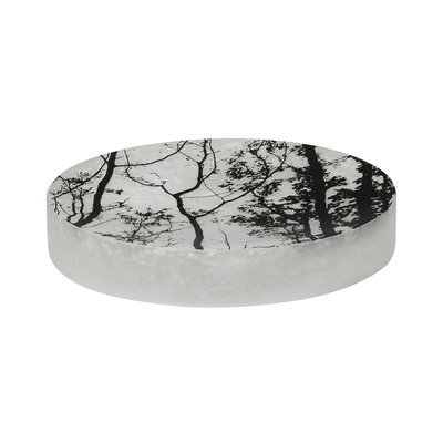 Creative Bath Sylvan Soap Dish (Mystery)