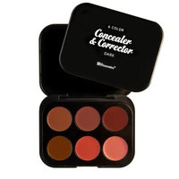 BH Cosmetics Concealer & Corrector Palette