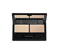 too cool for school Guggenosaurus Concealer