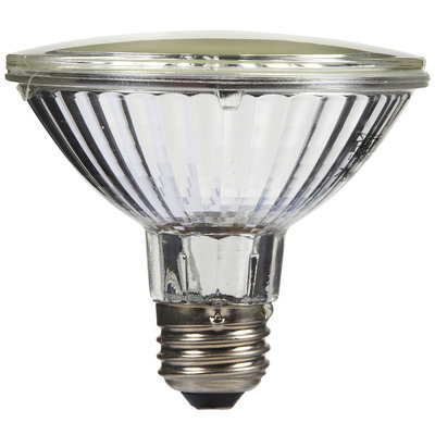 Fluker Labs SFK22101 Splash Proof Bulb