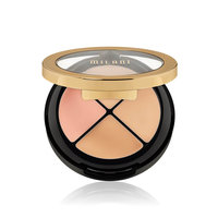 Milani Conceal + Perfect All-in-one Concealer Kit