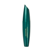COVERGIRL Flourish by Lash Blast Mascara