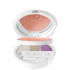 Gab Giorgio Armani Face and Eye Palette, Rose Bliss