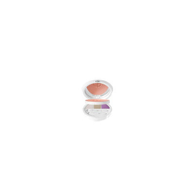 Gab Giorgio Armani Face and Eye Palette, Rose Bliss