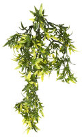 Exo-terra Exo Terra Plastic Terrarium Plant - Croton