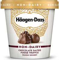 Haagen-Dazs Chocolate Salted Fudge Truffle Frozen Dessert Non-Dairy