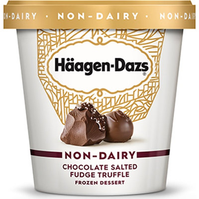 Haagen-Dazs Chocolate Salted Fudge Truffle Frozen Dessert Non-Dairy