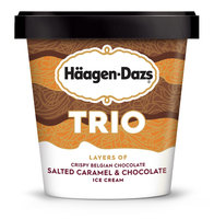 Haagen-Dazs Trio Salted Caramel Chocolate Ice Cream