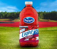 Ocean Spray Light Cranberry & Raspberry flavored Juice Drink