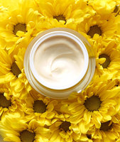 Schique Lumistone Hydration Face Moisturizer