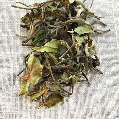 Stash Tea Mutan White Tea Loose Leaf Tea