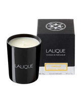 Lalique - Scented Candle - Vanille Acapulco