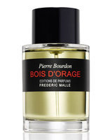 Frederic Malle Frédéric Malle Bois d'Orage Parfum 100ml-Colorless