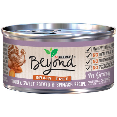 Purina BeyOnd Gravy Grain Free - Turkey Sweet Potato and Spinach Recipe - 12x3 oz