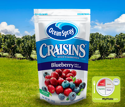 Ocean Spray Craisins Dried Cranberries Blueberry Juice Infused