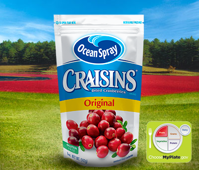 Ocean Spray Craisins Original Dried Cranberries