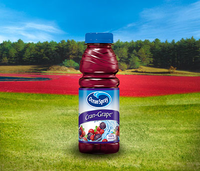 Ocean Spray Cran Grape Grape Cranberry Juice Drink