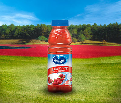 Ocean Spray Cranberry Juice Cocktail Original 100% Vitamin C