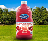 Ocean Spray Ruby Cranberry Blend Juice Drink