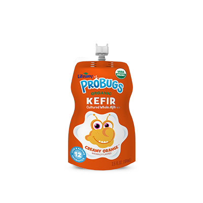 Lifeway Organic Creamy Orange ProBugs Whole Milk Kefir