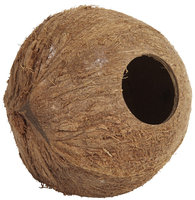 Penn Plax Coconut Cabana For Hamsters & Mice