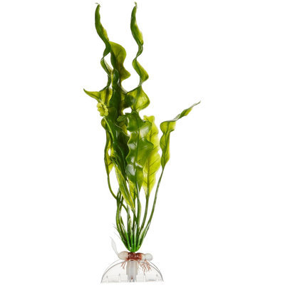 Royal Pet Products Brightwell PhytoGreen-M Phytoplanton Suspn 8oz