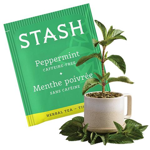 Stash Tea Peppermint Herbal Tea