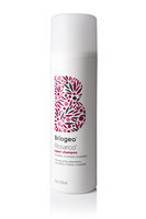 Briogeo Rosarco Reparative Shampoo