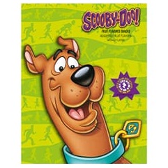 Betty Crocker™ Scooby-Doo! Fruit Flavored Snacks