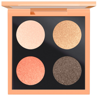 M.A.C Cosmetics Eyeshadow Quad