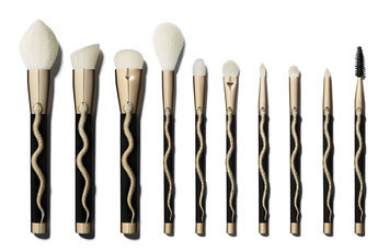 Slide: Sonia's Serpent 10-Piece Brush Set