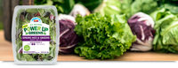 Dole Power Up Greens Spring Mix & Greens