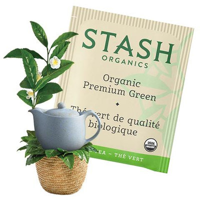 Stash Tea Organic Premium Green Tea