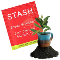 Stash Tea Premium Power Breakfast Tea