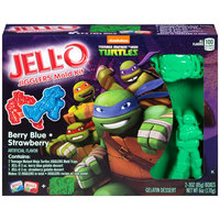 JELL-O Jigglers Teenage Mutant Ninja Turtles Mold Kit