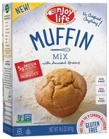 Enjoy Life MUFFIN BAKING MIX, GF, (Pack of 6)