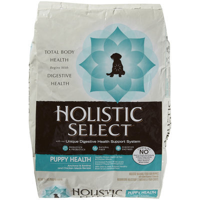 Wellpet Llc Mishawaka WP30911 15 lb. Holistic Puppy AnchovySardineSalmon