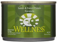 Wellpet Llc Wellpet OM08817 246 oz Wellness Lamb and Sweet Potato