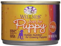 Wellpet Llc Wellpet OM08871 246 oz Wellness Just for Puppy Food